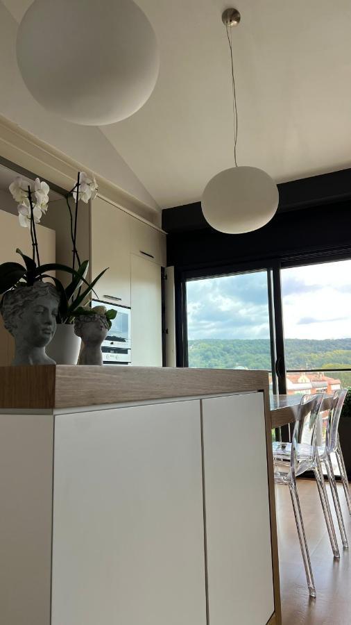 Atico De Diseno Con Terraza En El Centro De Olot Apartman Kültér fotó