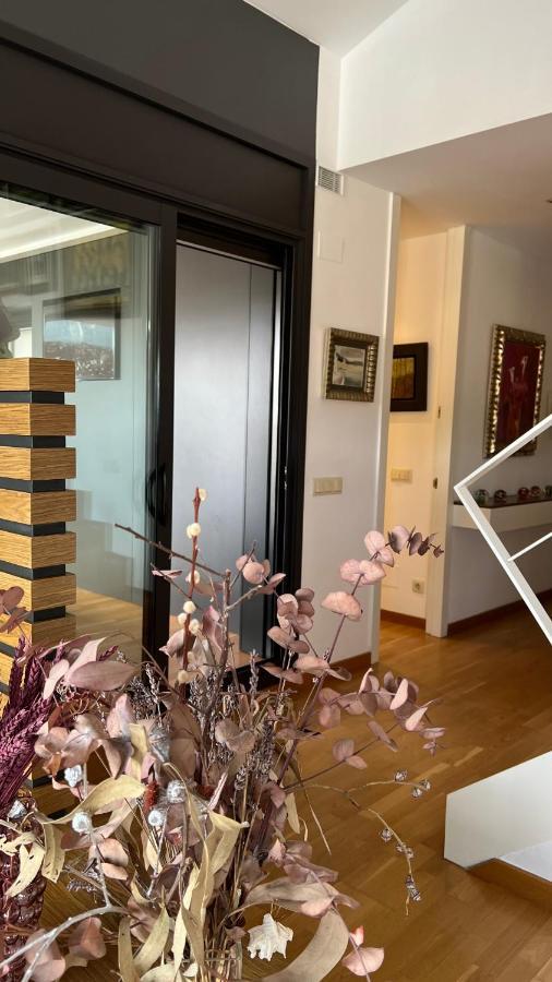 Atico De Diseno Con Terraza En El Centro De Olot Apartman Kültér fotó